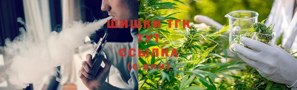 шишки Аркадак