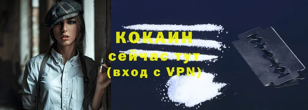 шишки Аркадак