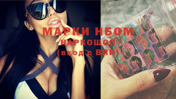 гашик Алзамай