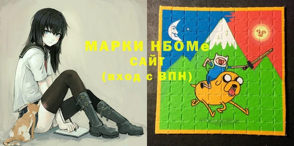 шишки Аркадак