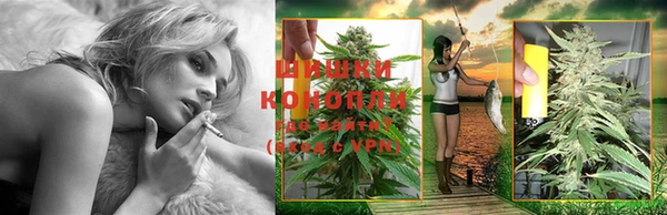 шишки Аркадак
