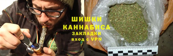 шишки Аркадак