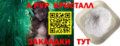 индика Беслан