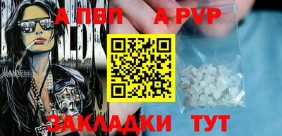 стаф Берёзовский