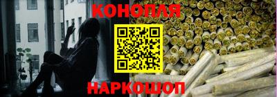 индика Беслан
