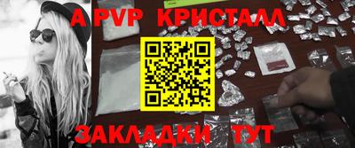 стаф Берёзовский