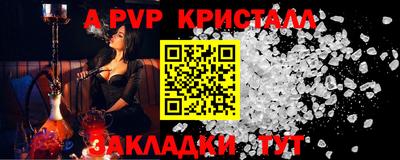 стаф Берёзовский