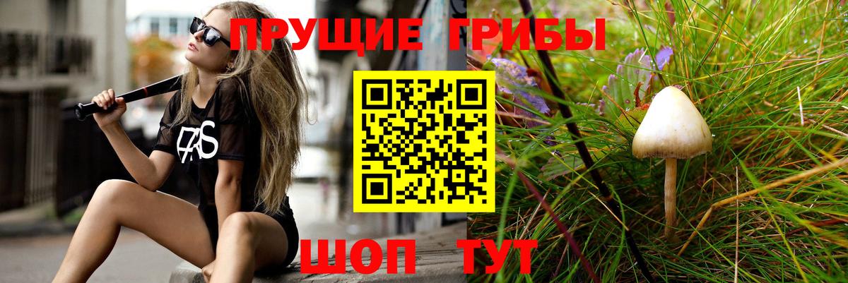 Галлюциногенные грибы ЛСД  Вход с VPN  Выкса 