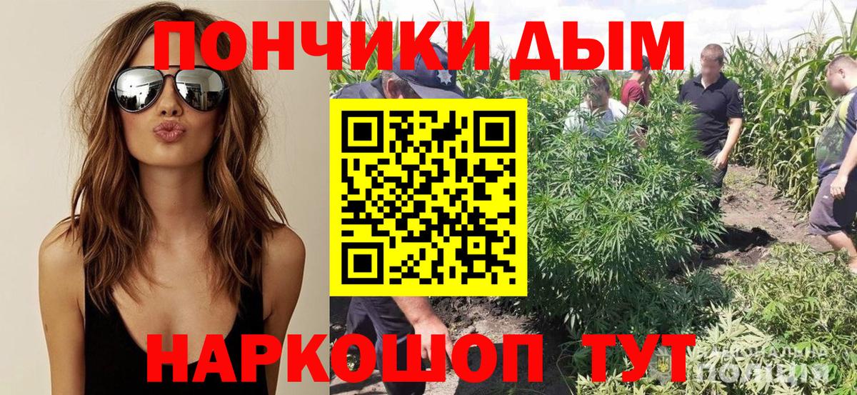 Выкса  МАРИХУАНА гибрид  Вход с VPN  Канабис сатива  Конопля планчик  Канабис ГИДРОПОН 